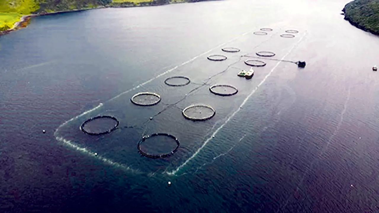 resimler-haber/Aquaculture-Bubble-Curtains.webp