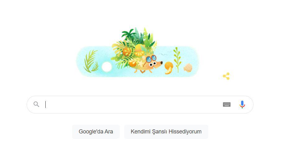 googel doodle'ı yaz gündönümü için 