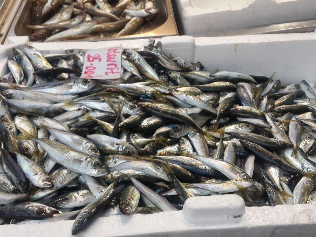 tezgahta balık(gıda) görseli