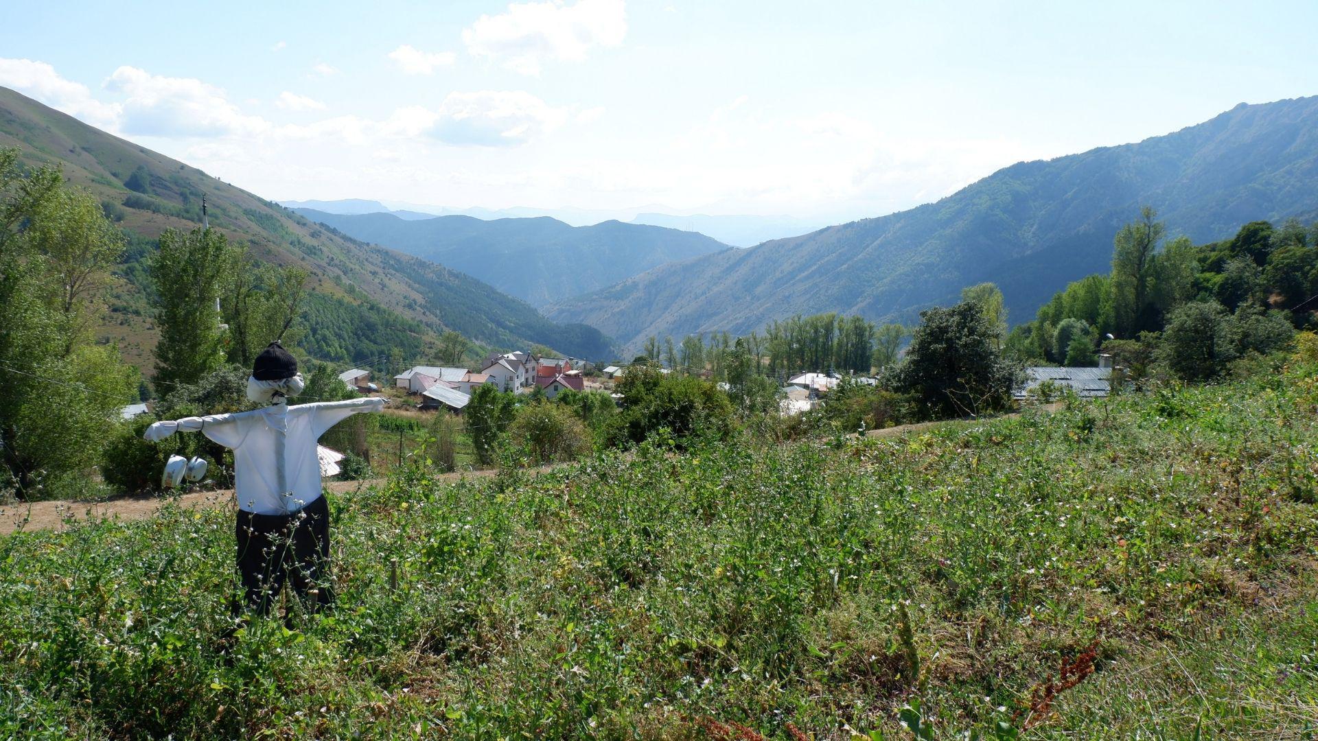 gümüşhane yayla hava durumu