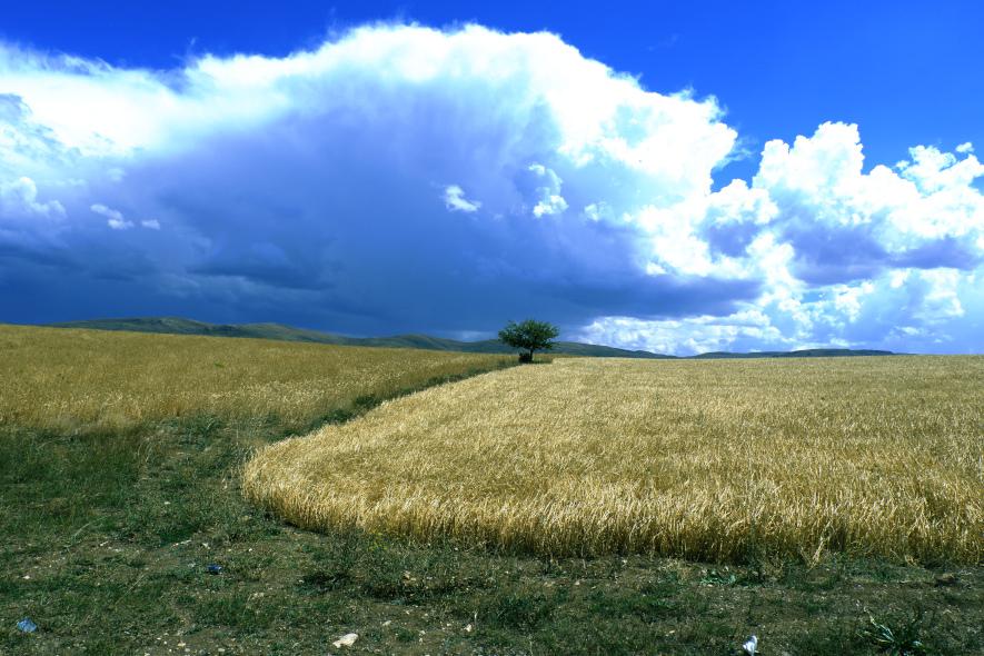 hava kirliliği atmosferdeki toz parçacıkları